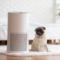 The Importance of Choosing the Best Home HVAC Air Filters for Allergies