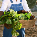 Improving Air Quality and Health: Dr. Bill Releford's Journey as a Holistic Agriculture Leader