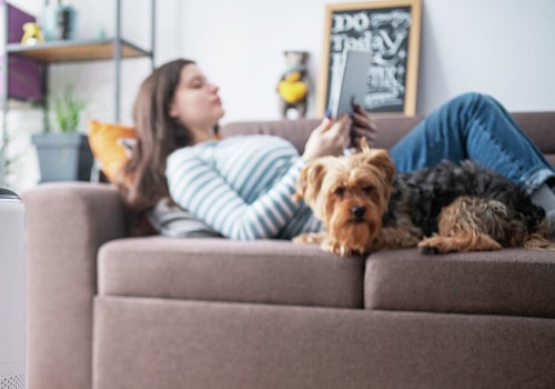 Creating an Allergy-Free Home: the Best Home Air Filters for Allergies That Work Wonders With Top Purifiers